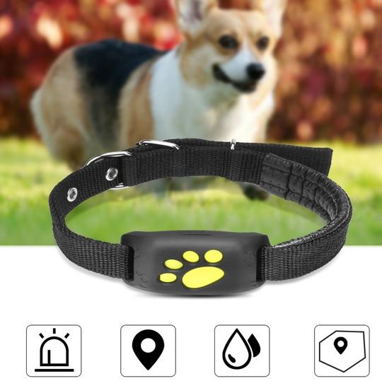 GPS Pet Tracker Collar